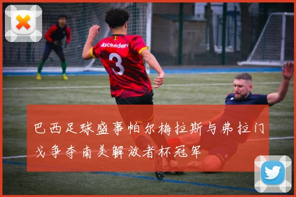 巴西足球盛事帕尔梅拉斯与弗拉门戈争夺南美解放者杯冠军