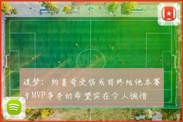 追梦：约基奇受伤或将终结他本赛季MVP争夺的希望实在令人惋惜