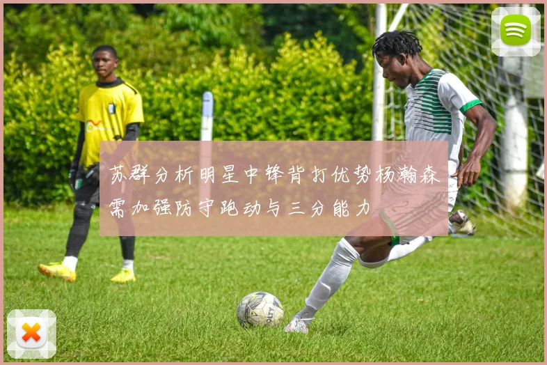 苏群分析明星中锋背打优势杨瀚森需加强防守跑动与三分能力