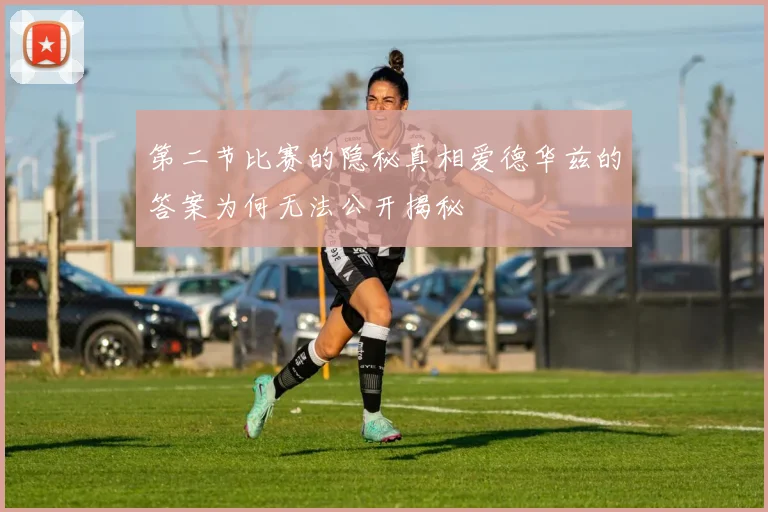 第二节比赛的隐秘真相爱德华兹的答案为何无法公开揭秘