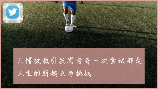 凡博被裁引发思考每一次尝试都是人生的新起点与挑战