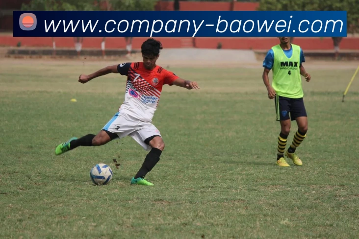 宝威体育服务体系